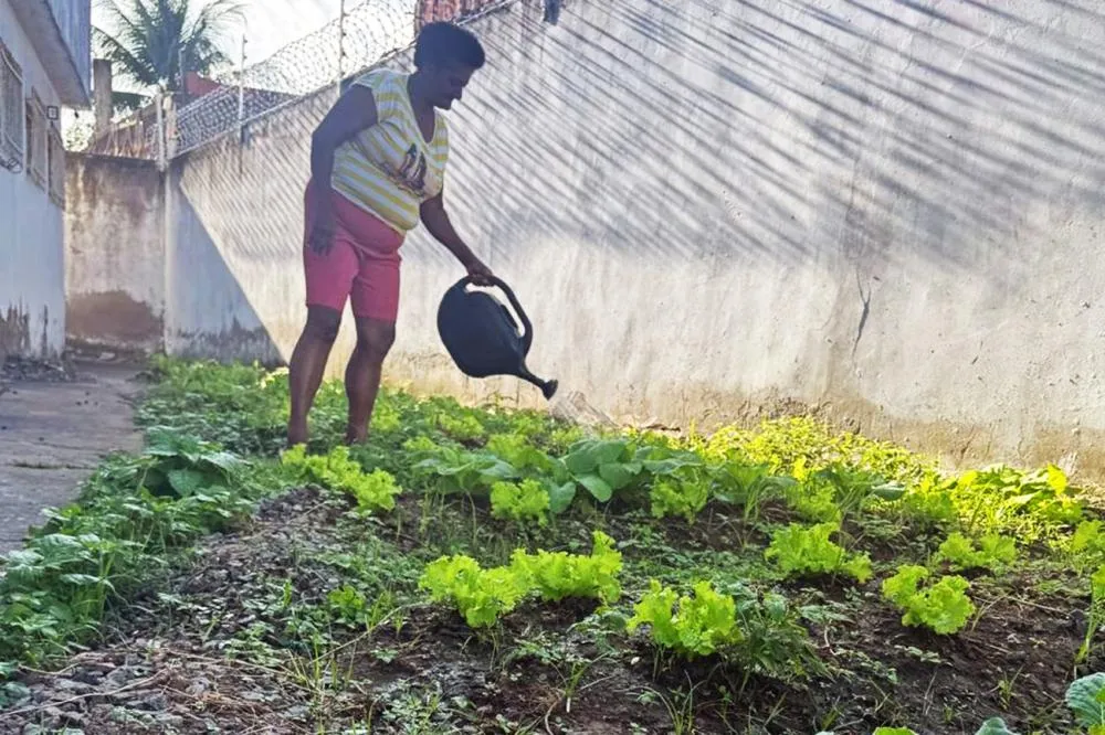 Horta comunitária fortalece saúde e vínculos sociais de mulheres no George Américo e Campo Limpo
