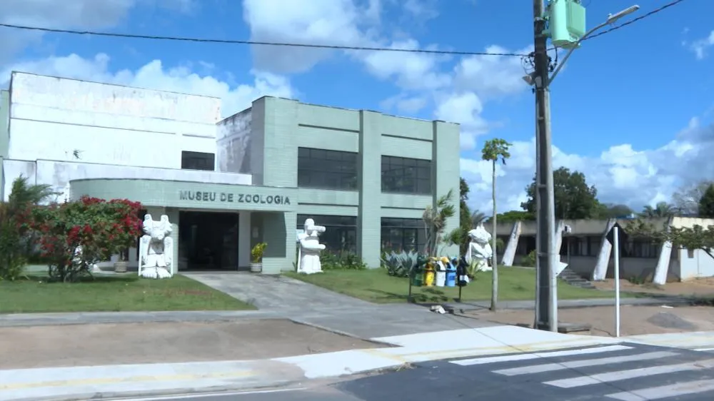 Museus em Feira de Santana, Cultura Surda e Amadeus estarão no Bem Bahia da TVE