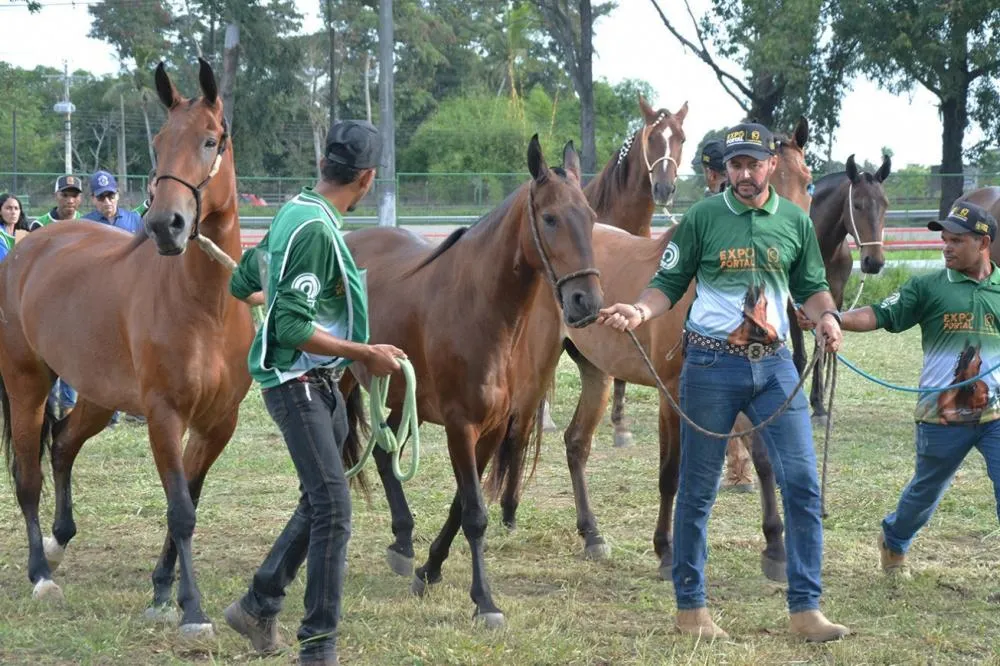 Expo Portal 2026: Feira de Santana vira vitrine nacional para a raça Campolina em junho