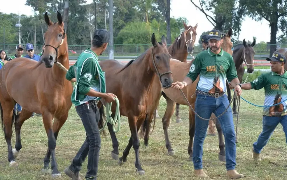 Expo Portal reúne exposição de cavalos, leilões e atrações culturais em Feira de Santana; veja programação
