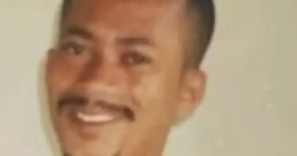 Homem morre após ataque de abelhas em Irecê, na Bahia